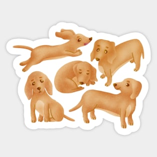 Dachshund.(Wiener dog). Sticker